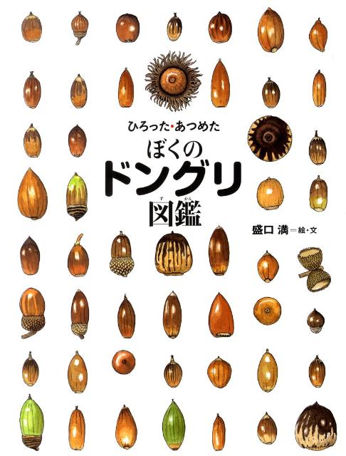【中古】ぼくのドングリ図鑑 ひろった あつめた /岩崎書店/盛口満（単行本）