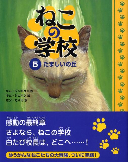 楽天市場】猫の学校（絵本・児童書・図鑑｜本・雑誌・コミック）の通販