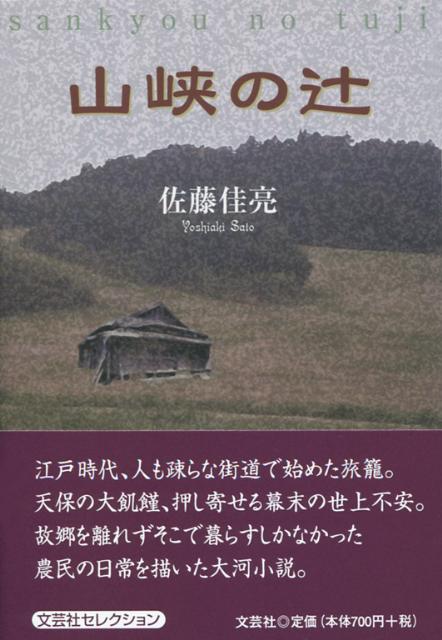 【中古】山峡の辻/文芸社/佐藤佳亮（文庫）