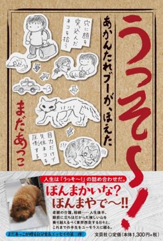【中古】うっそ〜！あかんたれブーが、ほえた/文芸社/まだあっこ（単行本（ソフトカバー））