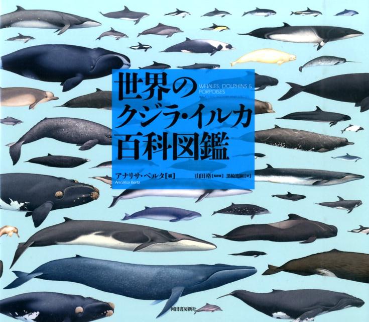 【中古】世界のクジラ・イルカ百科図鑑 /河出書房新社/アナリサ・ベルタ（大型本）