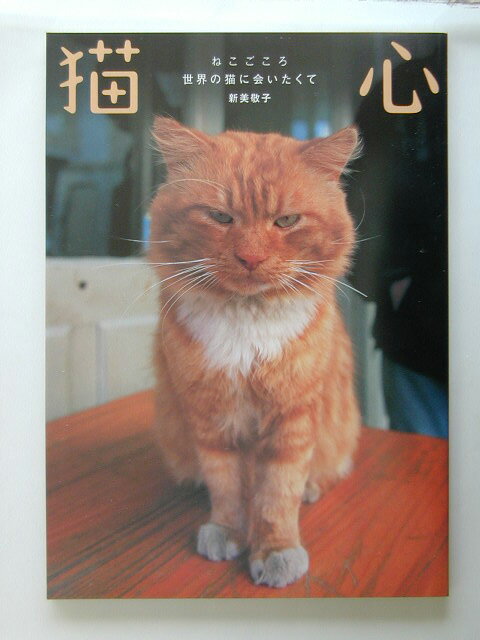 【中古】猫心 世界の猫に会いたくて /河出書房新社/新美敬子（単行本）