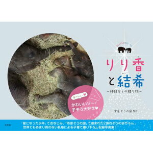【中古】りり香と結希 神様からの贈り物 /光文社/市原ぞうの国(単行本)