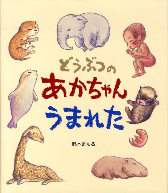 【中古】どうぶつのあかちゃんうまれた /小峰書店/鈴木まもる（大型本）