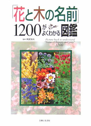 【中古】「花と木の名前」1200がよくわかる図鑑 /主婦と生活社/阿武恒夫（単行本）