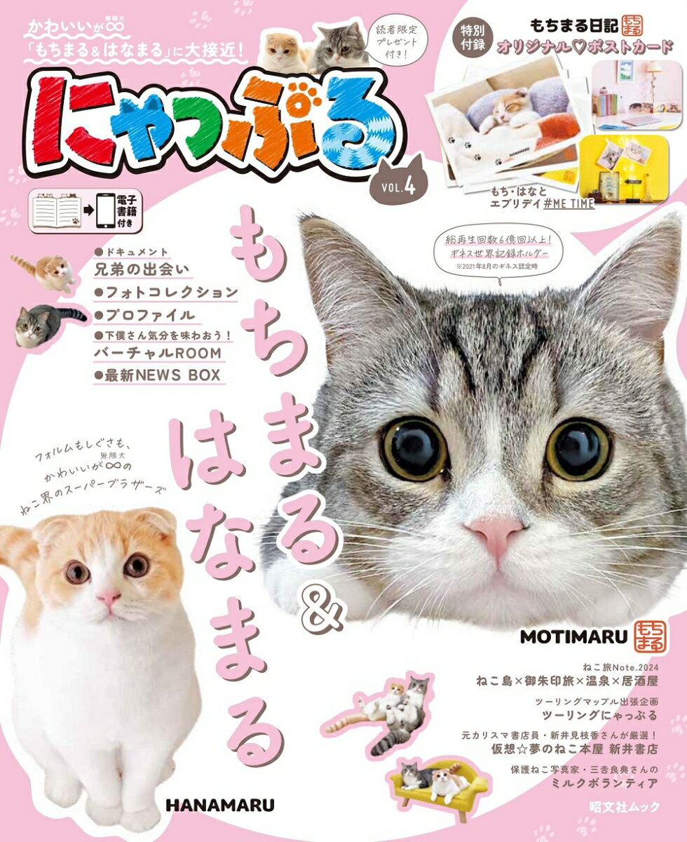 【中古】にゃっぷる VOL．4/昭文社（ムック）