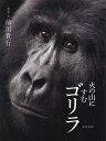 【中古】火の山にすむゴリラ /新日本出版社/前川貴行(単行本)