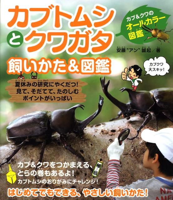 【中古】カブトムシとクワガタ飼いかた＆図鑑 カブ＆クワのオ-ルカラ-図鑑 /実業之日本社/安藤誠起（単..
