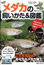 【中古】メダカの飼いかた&図鑑 /実業之日本社/水谷正一(単行本)