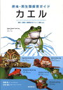 【中古】カエル 飼育+繁殖+種類別のポイント+病気etc./誠文堂新光社/松園純(単行本)