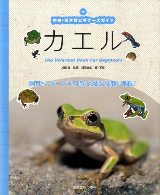 【中古】カエル /誠文堂新光社/川添宣広（単行本）