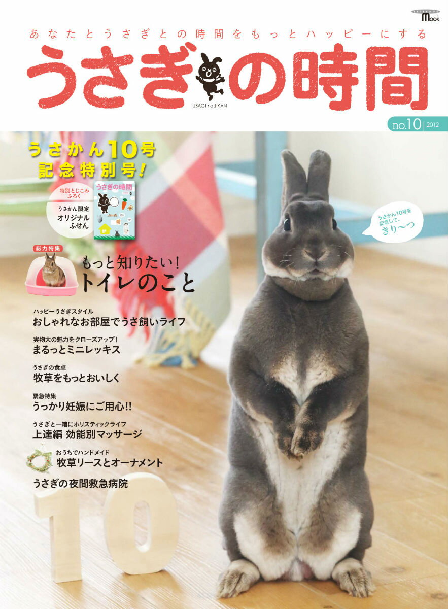 【中古】うさぎの時間 あなたとうさぎとの時間をもっとハッピ-にする no．10 /誠文堂新光社（ムック）