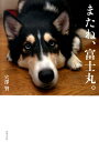 【中古】またね、富士丸。 /世界文化社/穴澤賢(単行本)