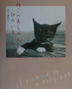 【中古】ねこの赤ちゃんひろいました。/大和書房/ShimadaKenji(単行本)