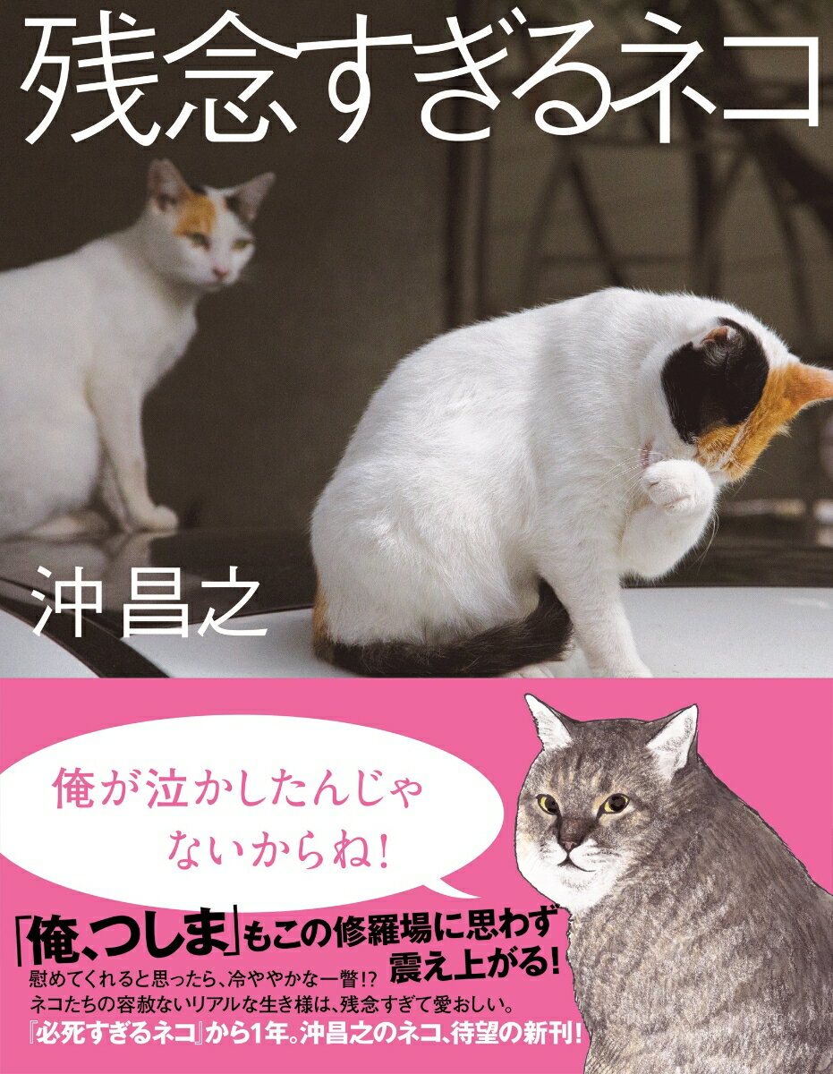 【中古】残念すぎるネコ /大和書房/沖昌之（単行本（ソフトカバー））