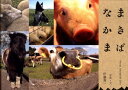 【中古】まきばなかま/東海教育研究所/伊藤秀一(応用動物行動学)(単行本)