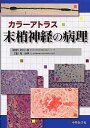 【中古】カラーアトラス末梢神経の病理 /中外医学社/岡伸幸(大型本)