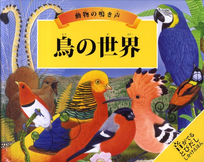 ◆◆◆おおむね良好な状態です。中古商品のため使用感等ある場合がございますが、品質には十分注意して発送いたします。 【毎日発送】 商品状態 著者名 ヴァレリ−・デイヴィス、モ−リス・プレジャ− 出版社名 大日本絵画 発売日 2011年 ISBN 9784499283632