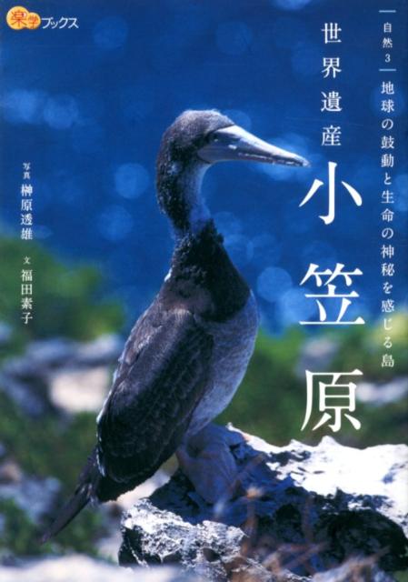 ◆◆◆おおむね良好な状態です。中古商品のため使用感等ある場合がございますが、品質には十分注意して発送いたします。 【毎日発送】 商品状態 著者名 榊原透雄、福田素子 出版社名 JTBパブリッシング 発売日 2012年10月 ISBN 978...
