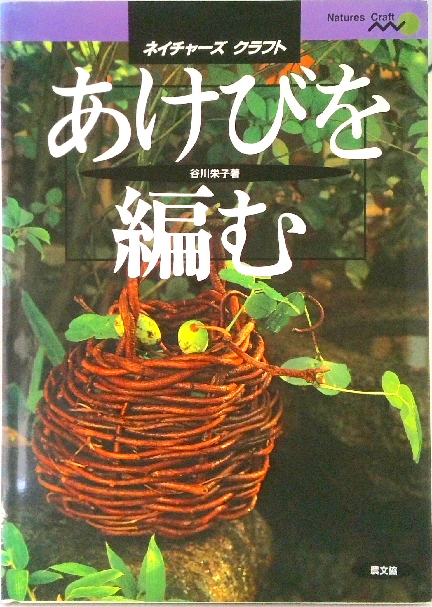 楽天市場】あけびのつるの通販