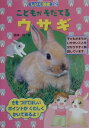 【中古】こどもがそだてるウサギ/ひかりのくに/高嶺一司(単行本)