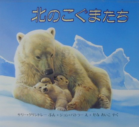 【中古】北のこぐまたち/評論社/サリ・グリンドリ（大型本）