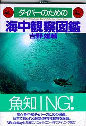 【中古】ダイバ-のための海中観察図鑑 魚知ing！ /PHP研究所/吉野雄輔（単行本）