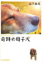 【中古】奇跡の母子犬 /PHP研究所/山下由美(単行本(ソフトカバー))