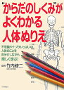 【中古】“からだのしくみ”がよくわかる人体ぬりえ 不思議やナゾがいっぱいの人体のことを色分けしながら /PHP研究所/竹内修二(大型本)