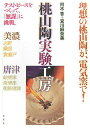 【中古】桃山陶実験工房 ダレでも挑戦/双葉社/阿木香(単行本)