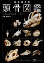 【中古】頭骨図鑑 ホネの世界は美しく面白い! /双葉社/吉田賢治(単行本(ソフトカバー))