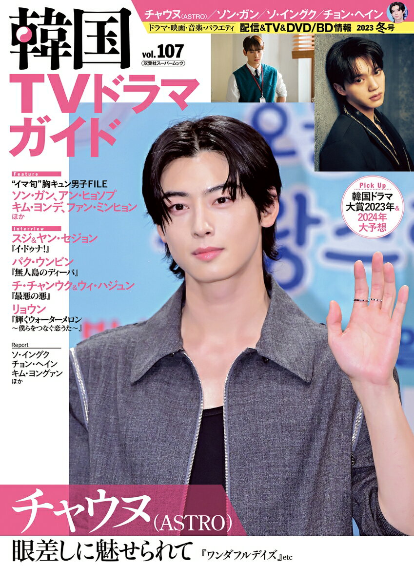 【中古】韓国TVドラマガイド vol．107/双葉社（ムック）