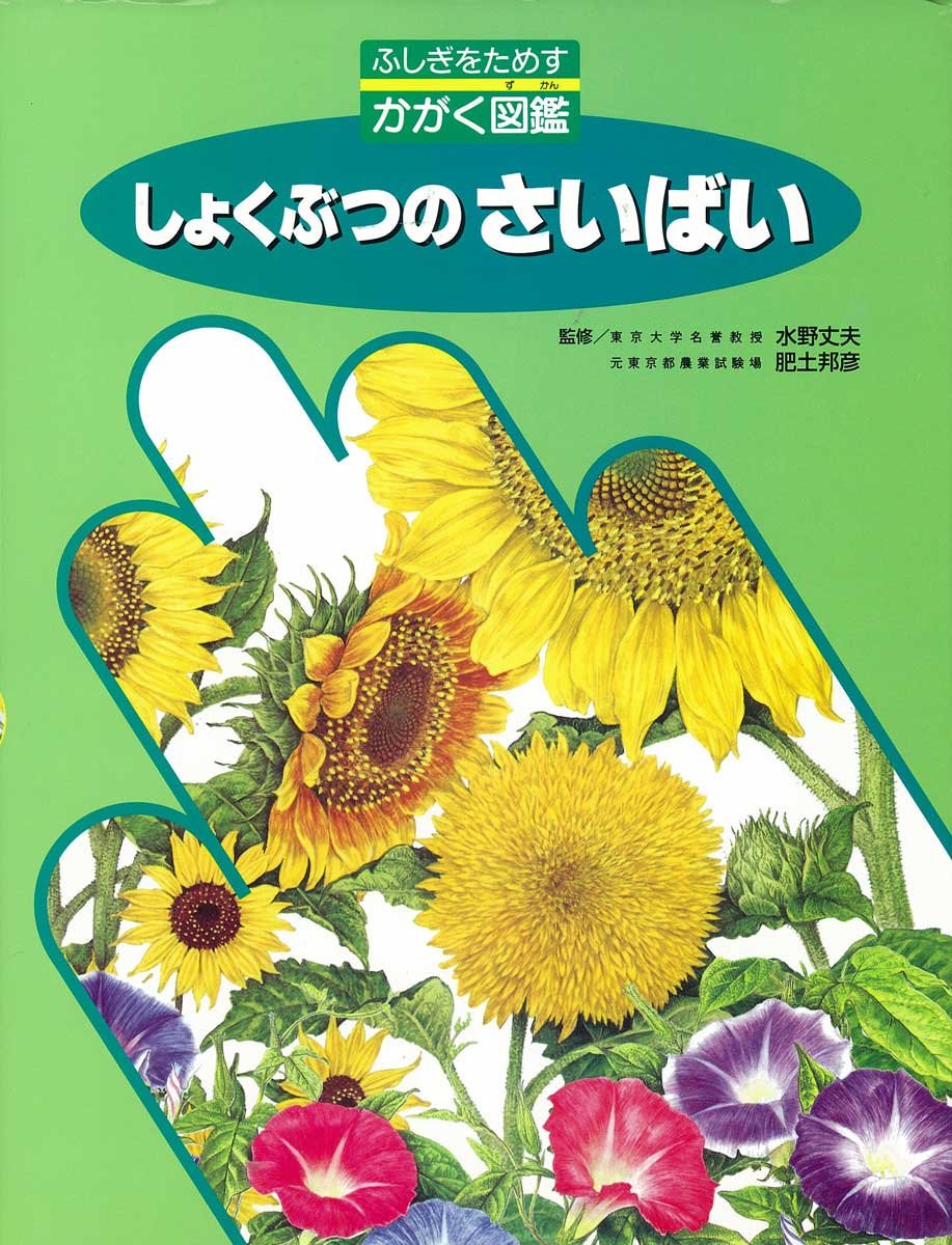【中古】しょくぶつのさいばい /フレ-ベル館（大型本）