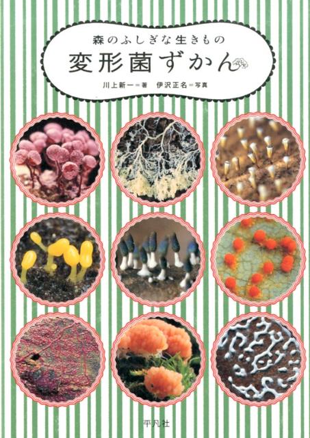 【中古】変形菌ずかん 森のふしぎな生きもの /平凡社/川上新一（単行本）
