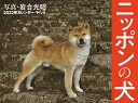 【中古】ニッポンの犬カレンダー 2022年/平凡社/岩合光昭