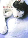 【中古】猫ぱんち 二匹の猫との暮らし /ベストセラ-ズ/小泉さよ(単行本)