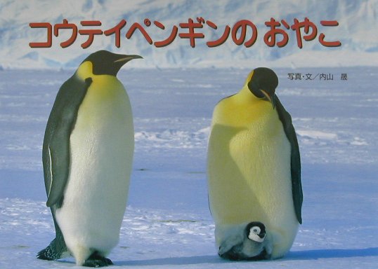 【中古】コウテイペンギンのおやこ /ポプラ社/内山晟（単行本）