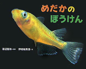 めだかのぼうけん ／伊地知英信 （ポプラ社）