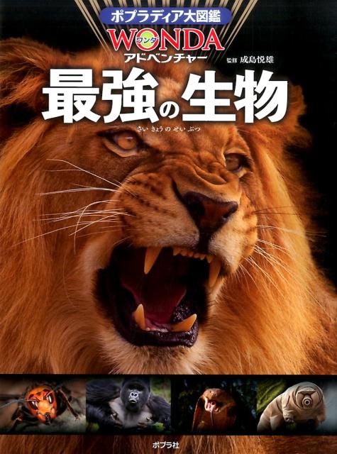 楽天市場】ポプラディア大図鑑wonda 16の通販