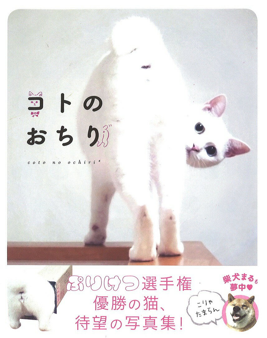 【中古】コトのおちり /扶桑社/Mai Yamamoto（単行本（ソフトカバー））