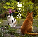 【中古】猫の恋 +猫句 /毎日新聞出版/岩合光昭(単行本)