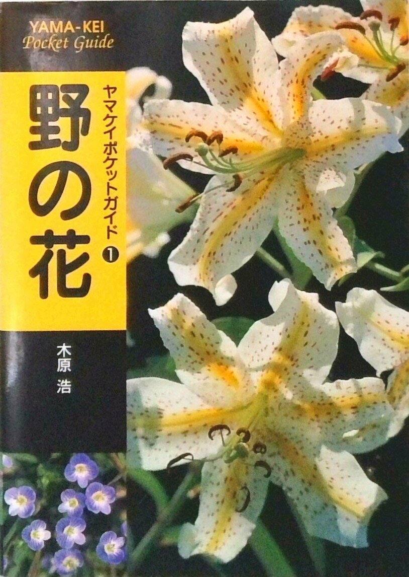 【中古】野の花 /山と渓谷社/木原浩（単行本）