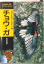 【中古】チョウ・ガ /山と渓谷社/松本克臣(単行本)