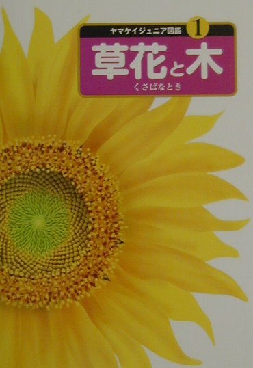 【中古】草花と木/山と渓谷社（単行本）