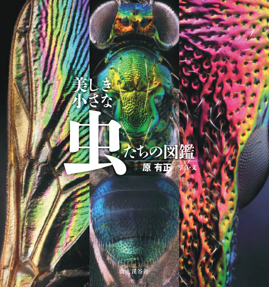 【中古】美しき小さな虫たちの図鑑 /山と渓谷社/原有正（単行本（ソフトカバー））