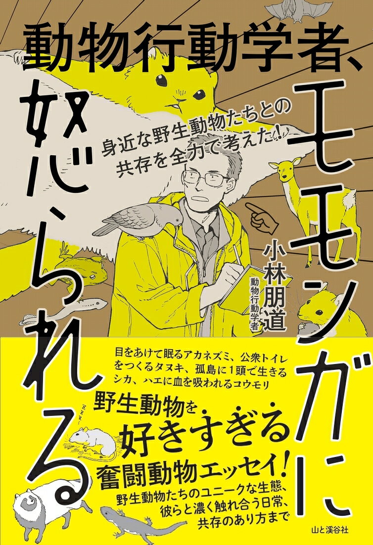【中古】身近な野生動物たちとの共存を全力で考えた！動物行動学者、モモンガに怒られる /山と渓谷社/小林朋道（単行本（ソフトカバー））