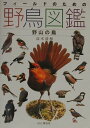 【中古】フィ-ルドのための野鳥図鑑 野山の鳥 /山と渓谷社/高木清和(単行本)