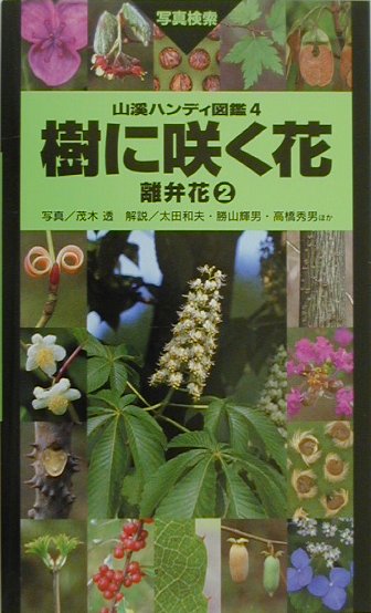 【中古】樹に咲く花 離弁花　2 2版/山と渓谷社/茂木透（単行本）