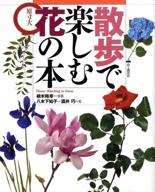 【中古】散歩で楽しむ花の本 原寸大/山と渓谷社/植木裕幸（単行本）