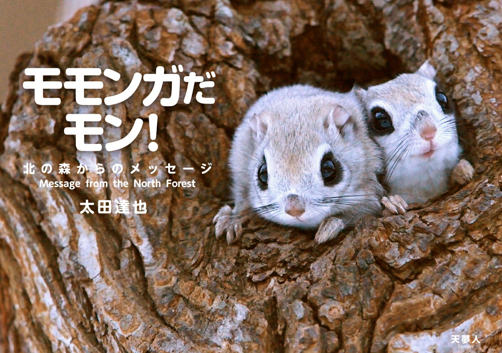 【中古】モモンガだモン！ 北の森からのメッセージ /天夢人/太田達也（単行本（ソフトカバー））